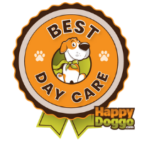 voted best doggy daycare colorado, zen doggy den best reviewed doggy daycare, top rated dog daycare, dog boardingm dog training denver