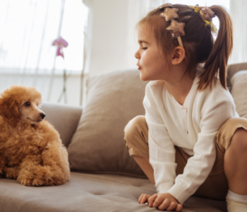 if you have recently gotten a new puppy and are concerned about new puppy behaviors here are some common ones and also maybe look into a puppy or dog trainer