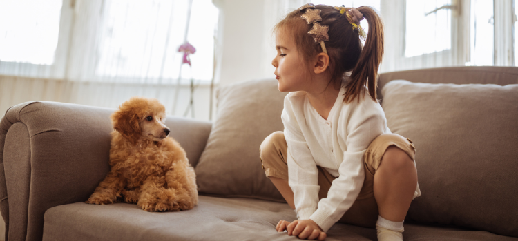 if you have recently gotten a new puppy and are concerned about new puppy behaviors here are some common ones and also maybe look into a puppy or dog trainer