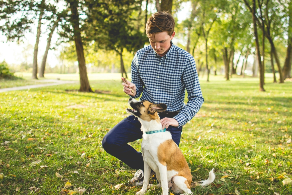 Zen Doggy Den Dog Training Groups