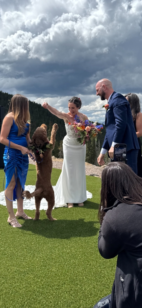 Wedding assistant, pet wedding assistant, pet wedding concierge. Zen Doggy Den.
